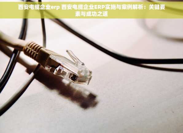 西安电缆企业erp 西安电缆企业ERP实施与案例解析：关键要素与成功之道