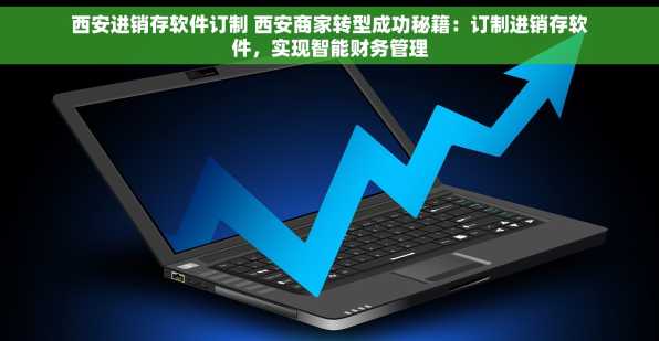 西安进销存软件订制 西安商家转型成功秘籍：订制进销存软件，实现智能财务管理