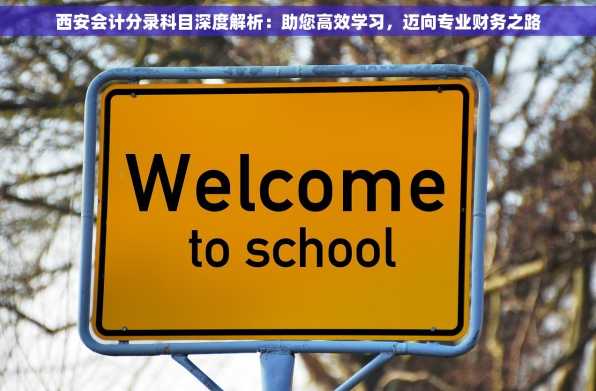 西安会计分录科目深度解析：助您高效学习，迈向专业财务之路