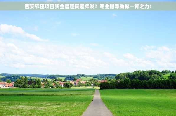 西安农田项目资金管理问题频发？专业指导助你一臂之力！