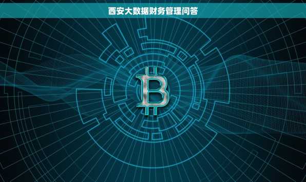 西安大数据财务管理问答