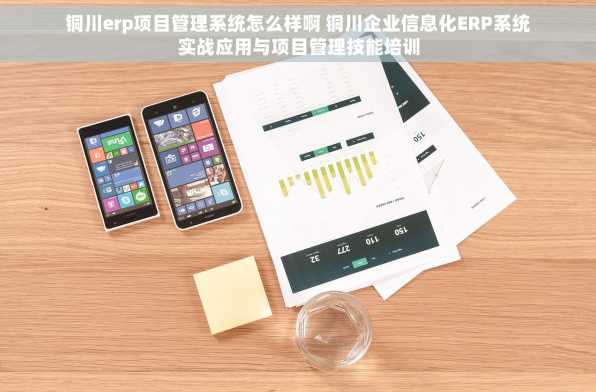 铜川erp项目管理系统怎么样啊 铜川企业信息化ERP系统实战应用与项目管理技能培训