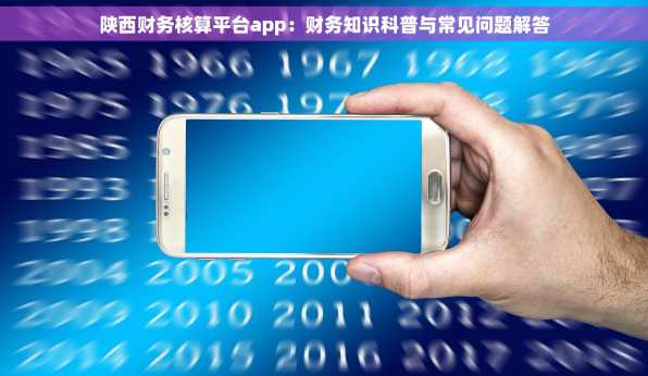 陕西财务核算平台app：财务知识科普与常见问题解答