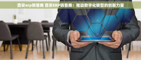 西安erp销售商 西安ERP销售商：推动数字化转型的创新力量