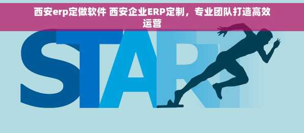 西安erp定做软件 西安企业ERP定制，专业团队打造高效运营