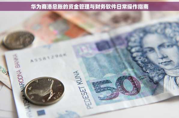 华为商洛总账的资金管理与财务软件日常操作指南