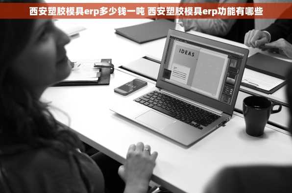 西安塑胶模具erp多少钱一吨 西安塑胶模具erp功能有哪些