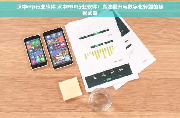 汉中erp行业软件 汉中ERP行业软件：高效提升与数字化转型的秘密武器