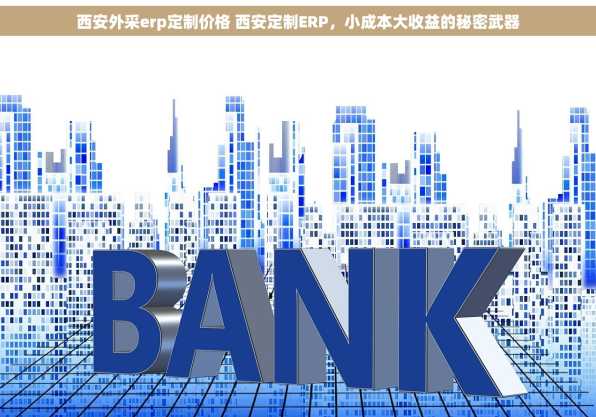 西安外采erp定制价格 西安定制ERP，小成本大收益的秘密武器