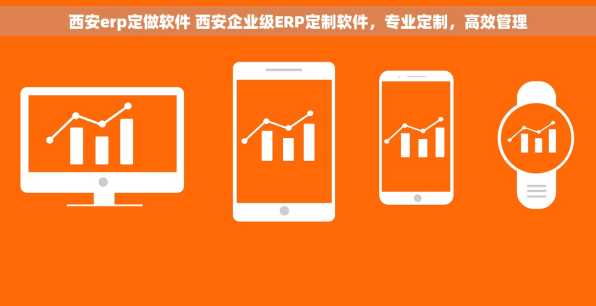 西安erp定做软件 西安企业级ERP定制软件，专业定制，高效管理