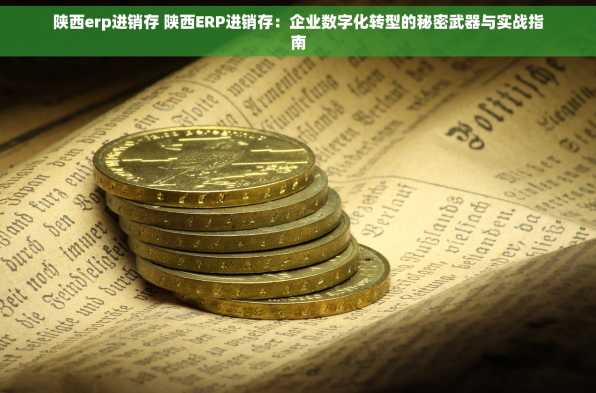 陕西erp进销存 陕西ERP进销存：企业数字化转型的秘密武器与实战指南