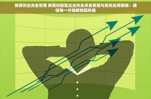 陕西创业资金管理 陕西创新型企业创业资金管理与高效应用策略：确保每一分钱都物超所值