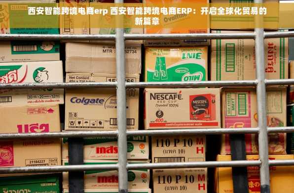 西安智能跨境电商erp 西安智能跨境电商ERP：开启全球化贸易的新篇章
