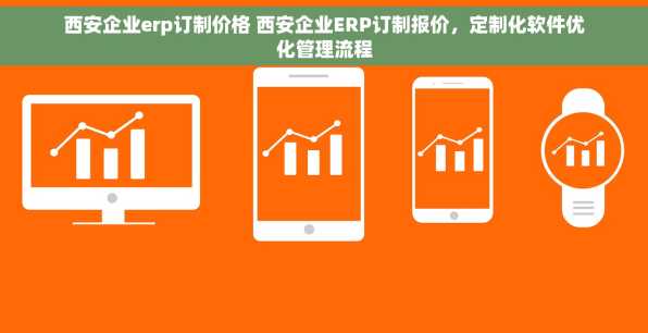 西安企业erp订制价格 西安企业ERP订制报价，定制化软件优化管理流程