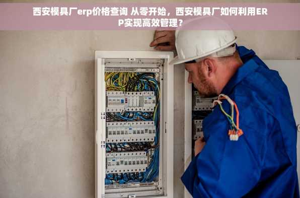 西安模具厂erp价格查询 从零开始，西安模具厂如何利用ERP实现高效管理？
