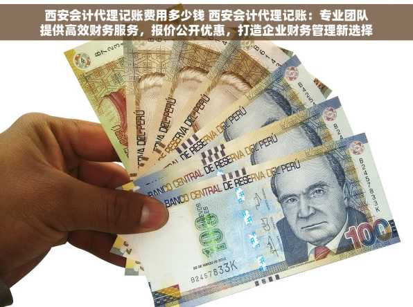 西安会计代理记账费用多少钱 西安会计代理记账：专业团队提供高效财务服务，报价公开优惠，打造企业财务管理新选择