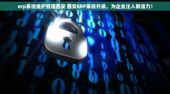 erp系统维护管理西安 西安ERP系统升级，为企业注入新活力！