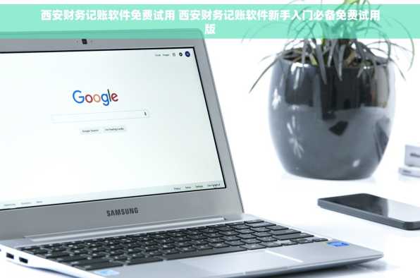 西安财务记账软件免费试用 西安财务记账软件新手入门必备免费试用版