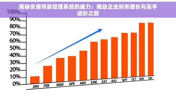 揭秘安康预算管理系统的威力：推动企业财务增长与高手进阶之路