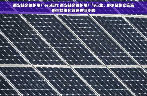 西安蜂窝纸护角厂erp操作 西安蜂窝纸护角厂与行业：ERP系统实施策略与精细化管理关键步骤
