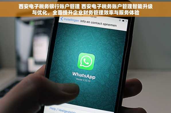 西安电子税务银行账户管理 西安电子税务账户管理智能升级与优化，全面提升企业财务管理效率与服务体验