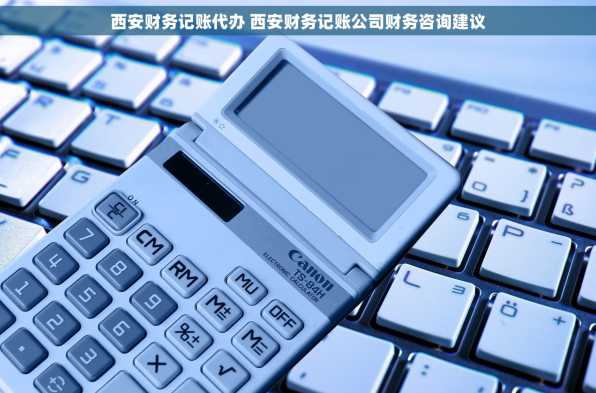 西安财务记账代办 西安财务记账公司财务咨询建议