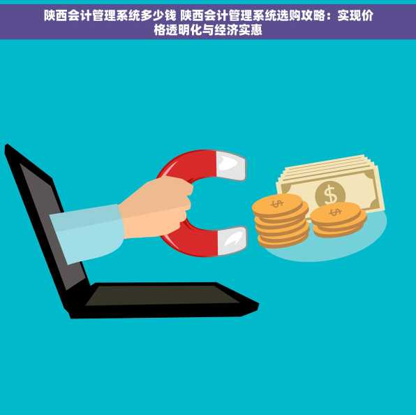 陕西会计管理系统多少钱 陕西会计管理系统选购攻略：实现价格透明化与经济实惠