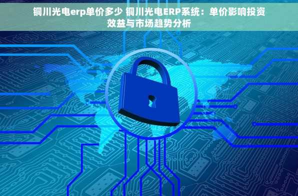 铜川光电erp单价多少 铜川光电ERP系统：单价影响投资效益与市场趋势分析