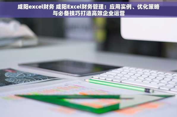 咸阳excel财务 咸阳Excel财务管理：应用实例、优化策略与必备技巧打造高效企业运营
