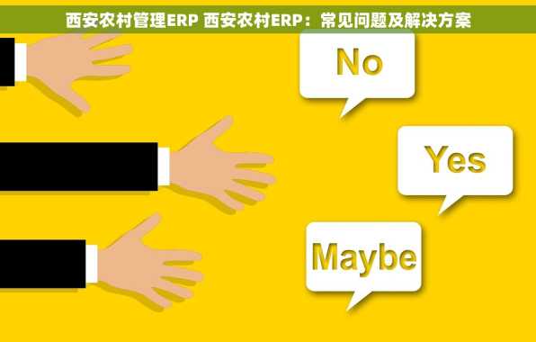 西安农村管理ERP 西安农村ERP：常见问题及解决方案