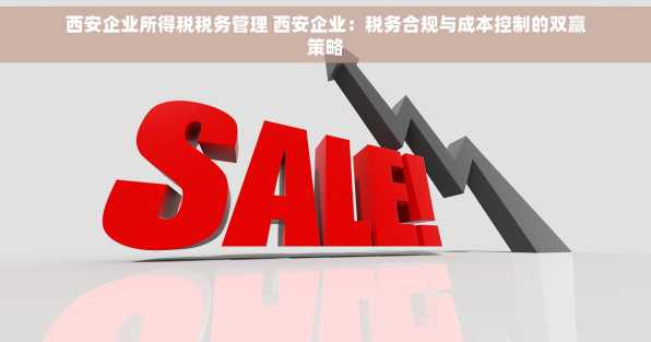 西安企业所得税税务管理 西安企业：税务合规与成本控制的双赢策略