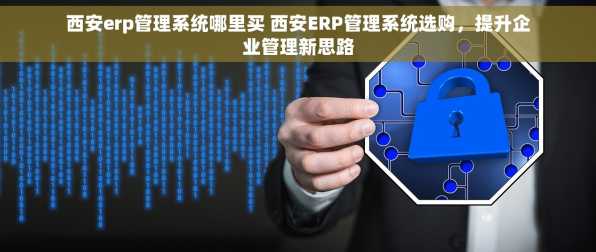 西安erp管理系统哪里买 西安ERP管理系统选购，提升企业管理新思路