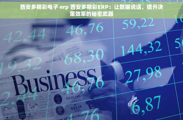 西安多精彩电子 erp 西安多精彩ERP：让数据说话，提升决策效率的秘密武器
