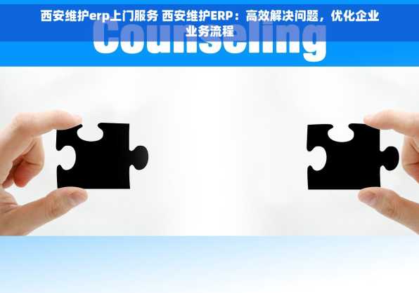 西安维护erp上门服务 西安维护ERP：高效解决问题，优化企业业务流程