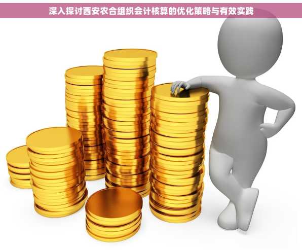 深入探讨西安农合组织会计核算的优化策略与有效实践