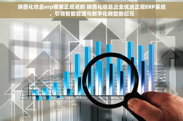 陕西化妆品erp哪家正规点的 陕西化妆品企业优选正规ERP系统，引领智能管理与数字化转型新纪元