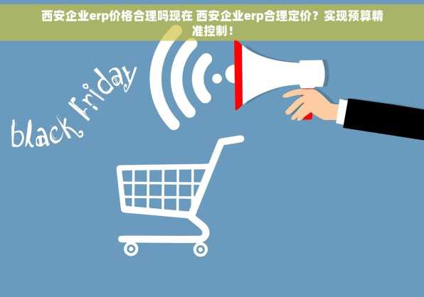 西安企业erp价格合理吗现在 西安企业erp合理定价？实现预算精准控制！