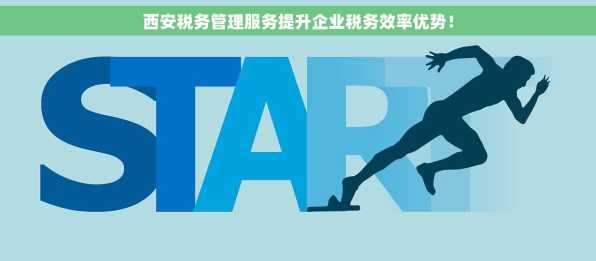 西安税务管理服务提升企业税务效率优势！