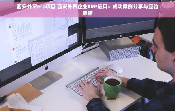 西安外贸erp项目 西安外贸企业ERP应用：成功案例分享与经验总结