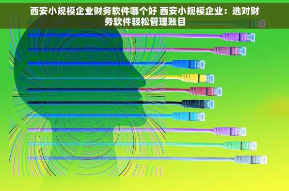 西安小规模企业财务软件哪个好 西安小规模企业：选对财务软件轻松管理账目