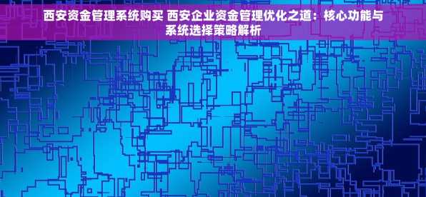 西安资金管理系统购买 西安企业资金管理优化之道：核心功能与系统选择策略解析