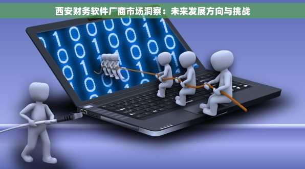 西安财务软件厂商市场洞察：未来发展方向与挑战