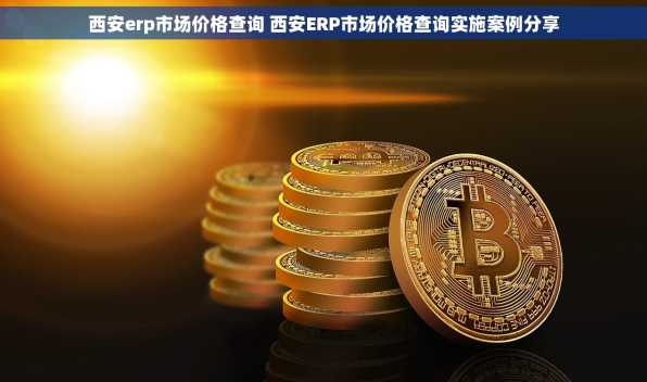 西安erp市场价格查询 西安ERP市场价格查询实施案例分享
