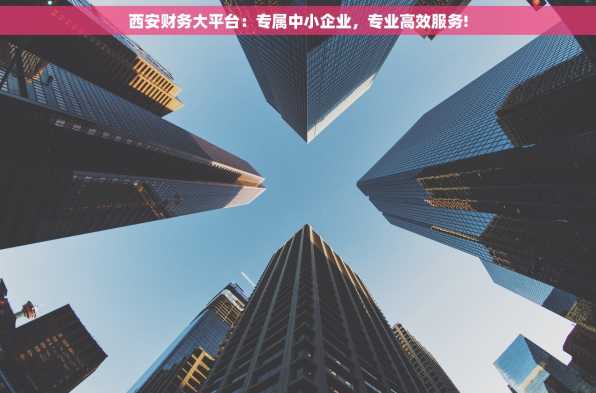 西安财务大平台：专属中小企业，专业高效服务!