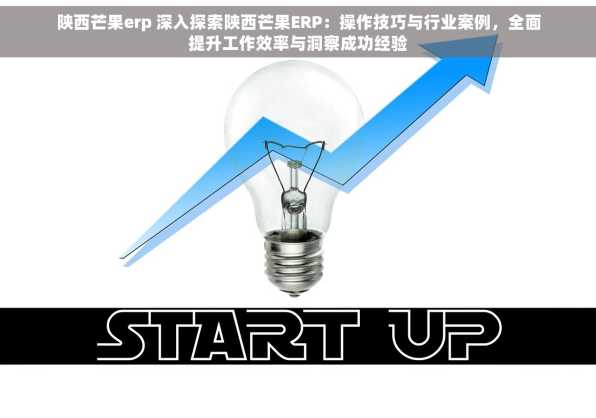 陕西芒果erp 深入探索陕西芒果ERP：操作技巧与行业案例，全面提升工作效率与洞察成功经验