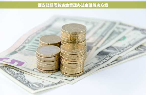 西安短期周转资金管理办法金融解决方案