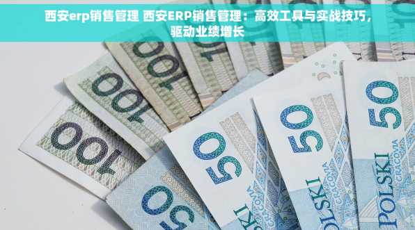 西安erp销售管理 西安ERP销售管理：高效工具与实战技巧，驱动业绩增长