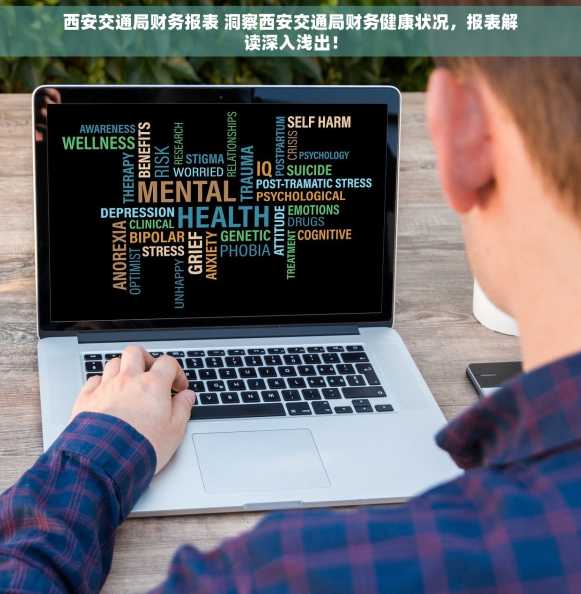 西安交通局财务报表 洞察西安交通局财务健康状况，报表解读深入浅出！