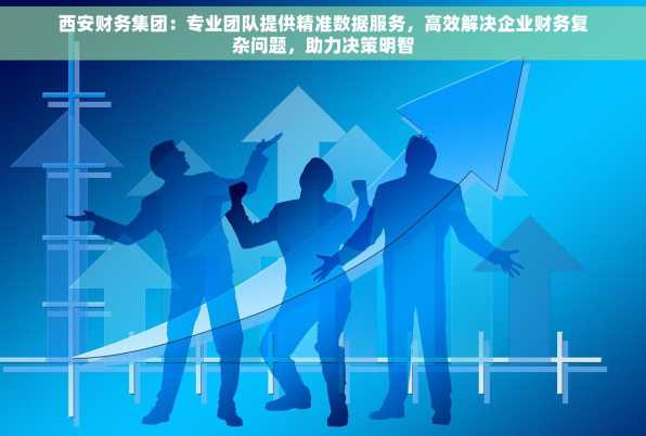 西安财务集团：专业团队提供精准数据服务，高效解决企业财务复杂问题，助力决策明智