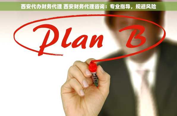 西安代办财务代理 西安财务代理咨询：专业指导，规避风险